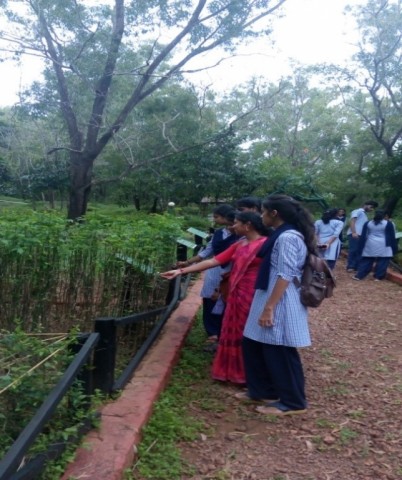 Field visit to Salumarada Timmakka Tree Park